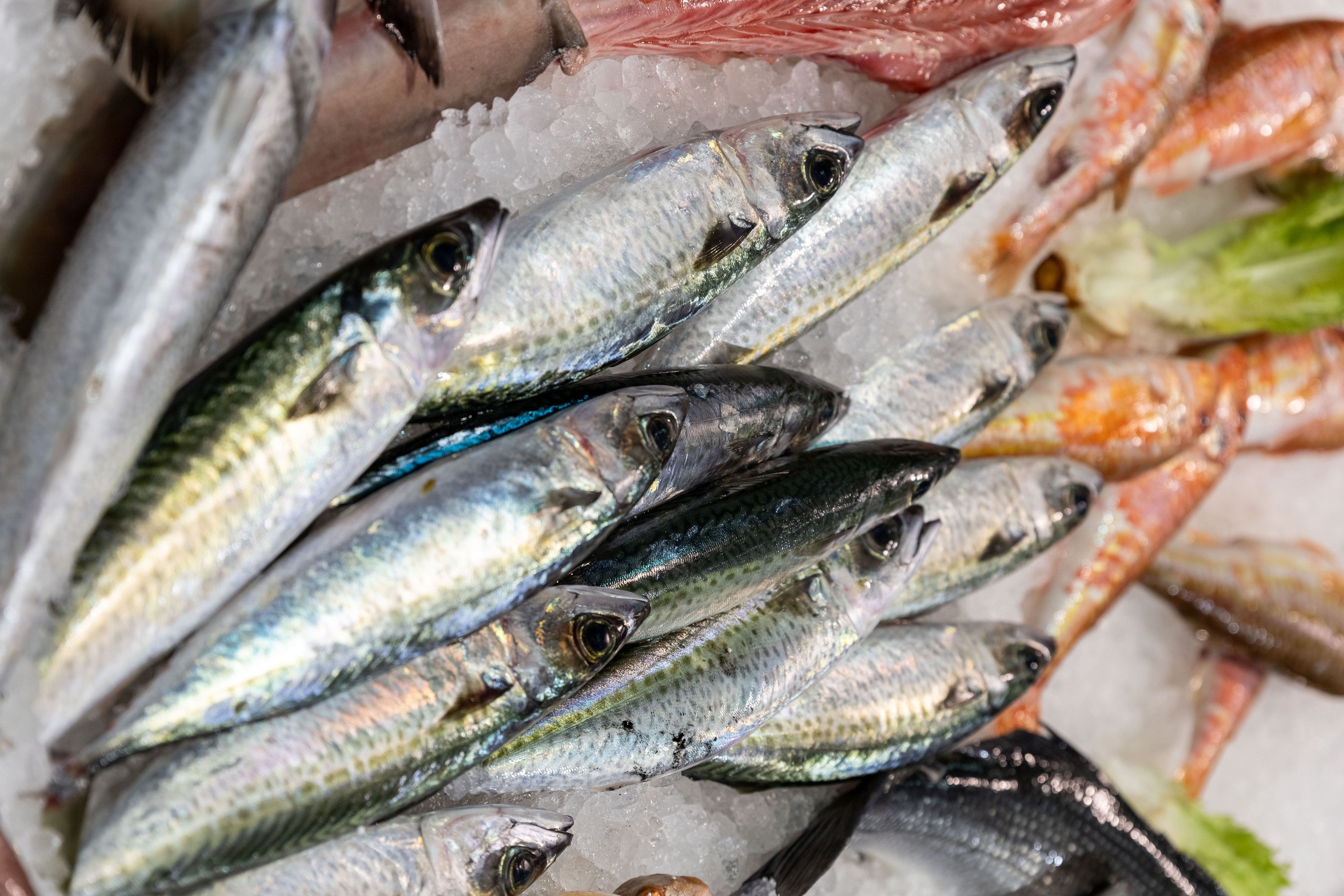 Τσιπούρες σε πάγο